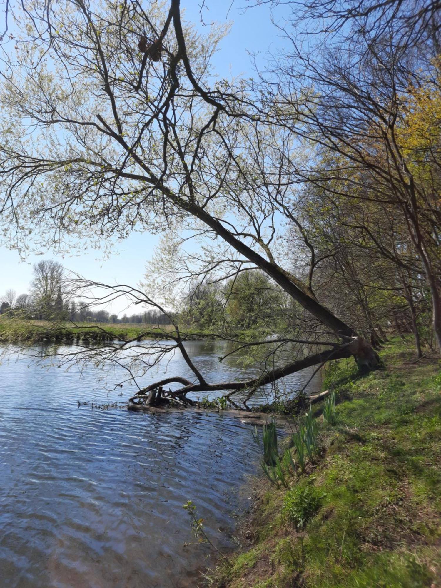 Ferienhaus Am See Goch Kessel Rom bilde